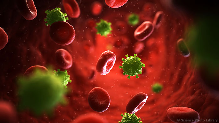 CD8+TϸΪǿHIVƹؼ